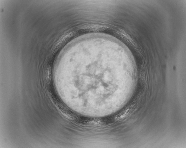 X0000057580119200510171717