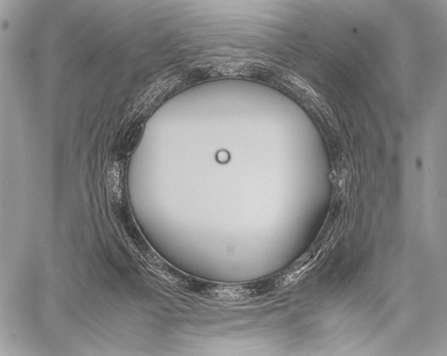 X0000057580121200510171717