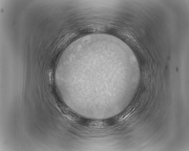 X0000057580123200510171717