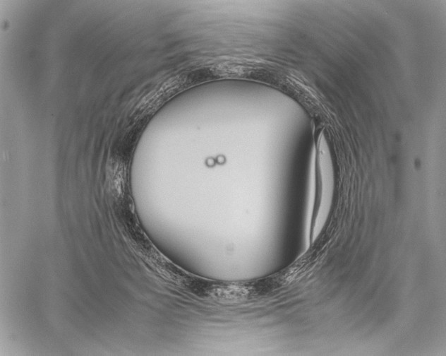 X0000057580125200510171717