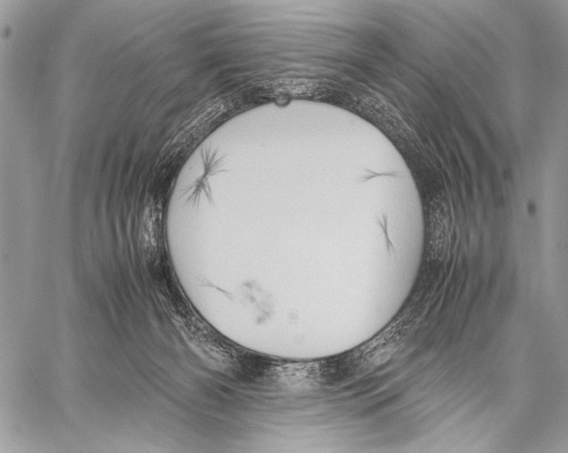 X0000057580126200510171717