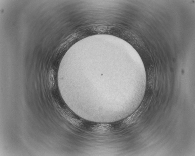 X0000057580128200510171717