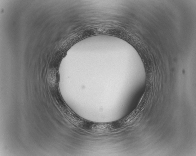 X0000057580129200510171717