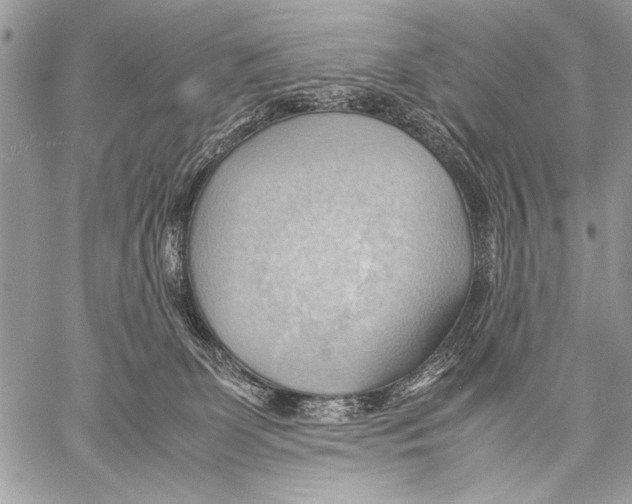 X0000057580131200510171717