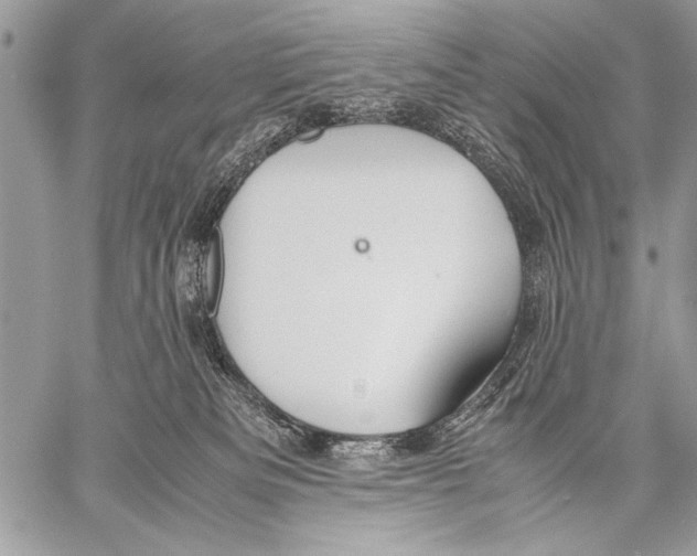 X0000057580133200510171717