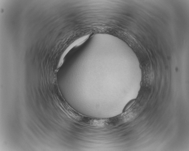 X0000057580134200510171717