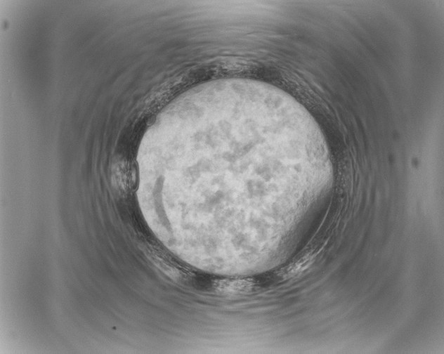 X0000057580135200510171717