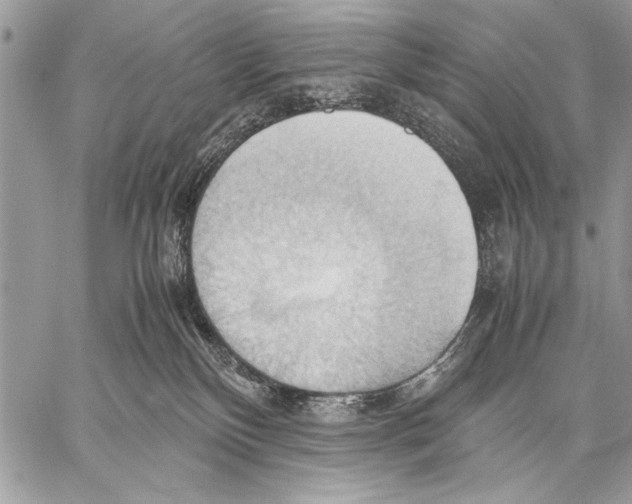 X0000057580136200510171717