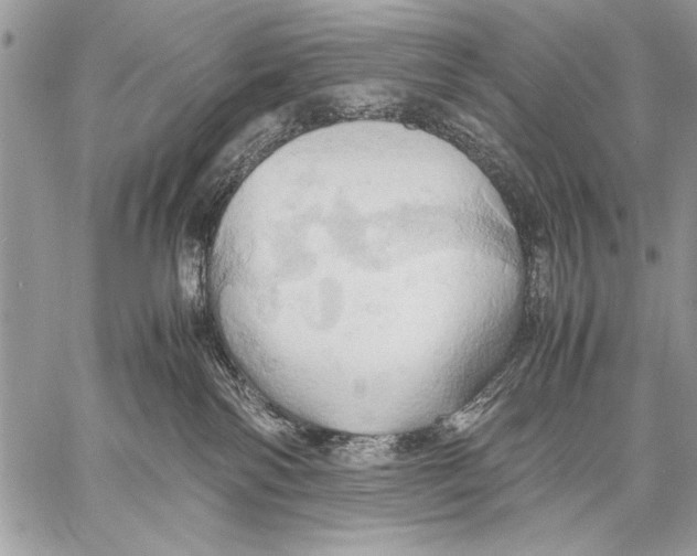 X0000057580138200510171717