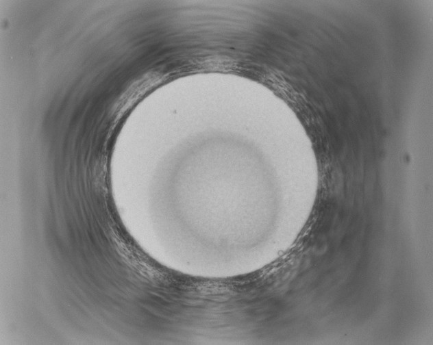 X0000057580146200510171716