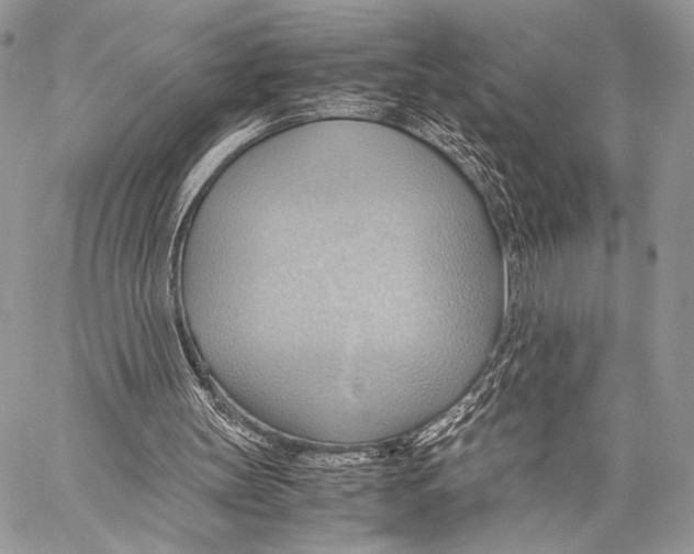 X0000057580147200510171716