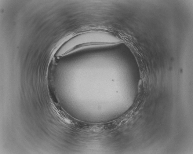 X0000057580148200510171716