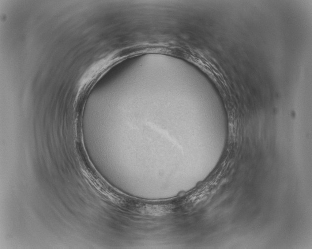 X0000057580149200510171716