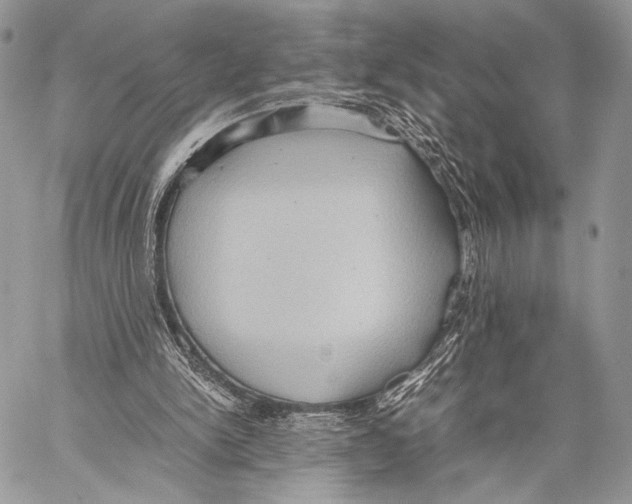 X0000057580150200510171716