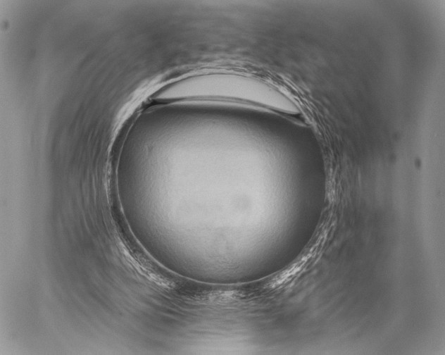 X0000057580152200510171716