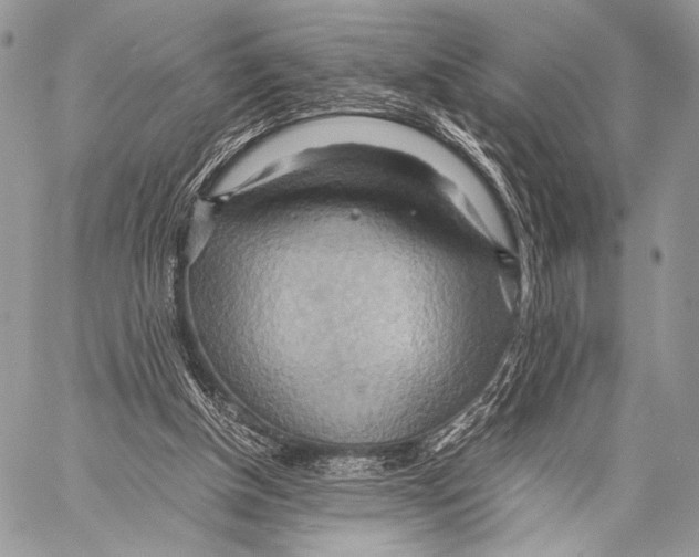 X0000057580154200510171716