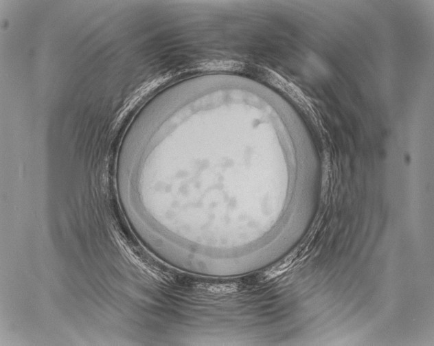 X0000057580155200510171716