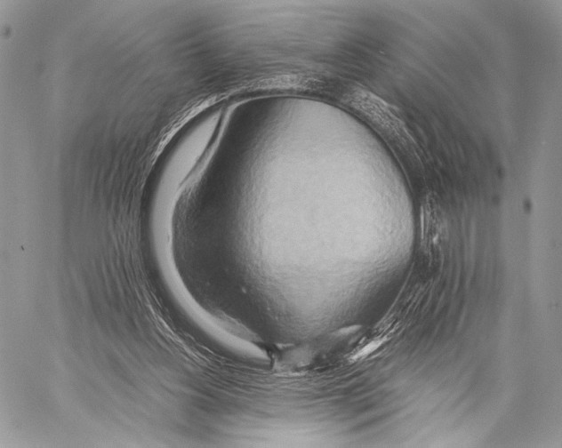 X0000057580156200510171716