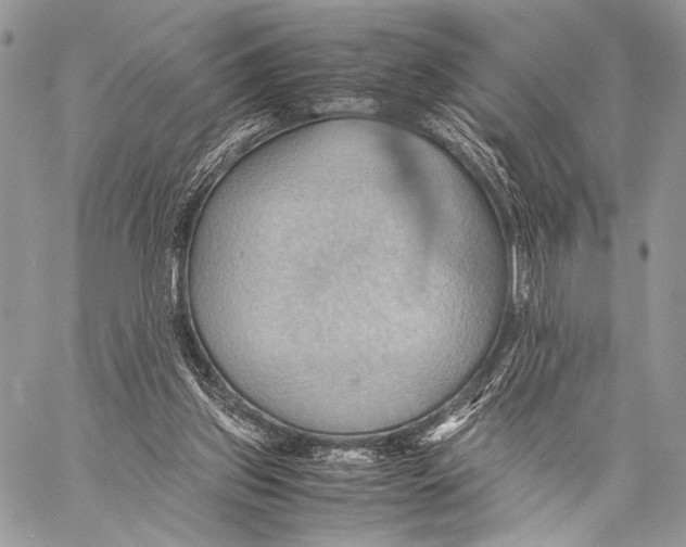 X0000057580157200510171716