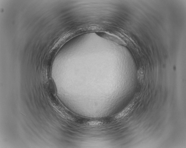 X0000057580158200510171716