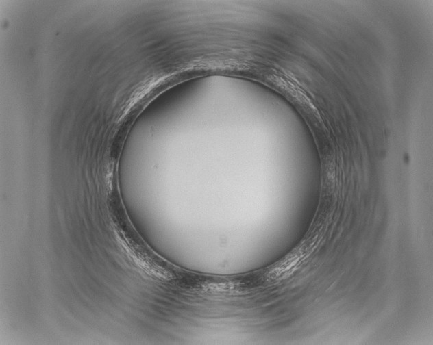 X0000057580160200510171716