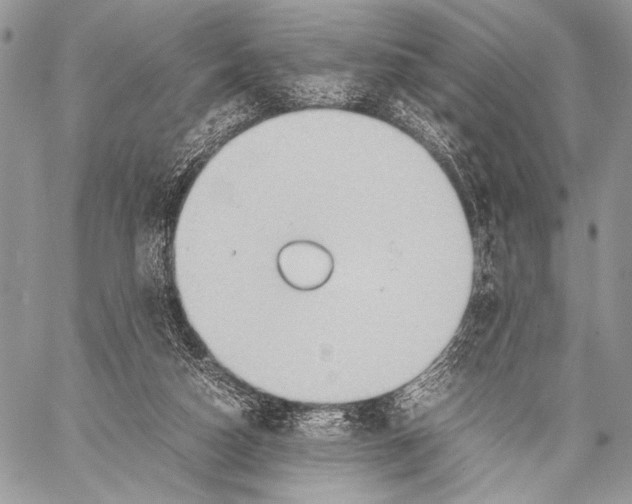 X0000057580162200510171716