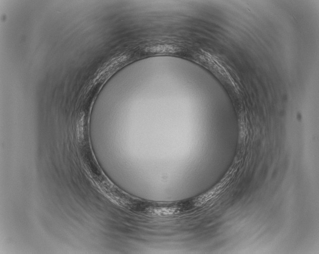 X0000057580163200510171716