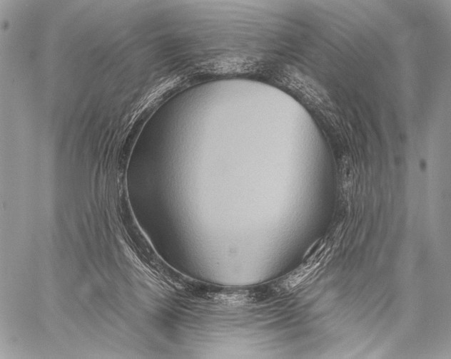 X0000057580164200510171716