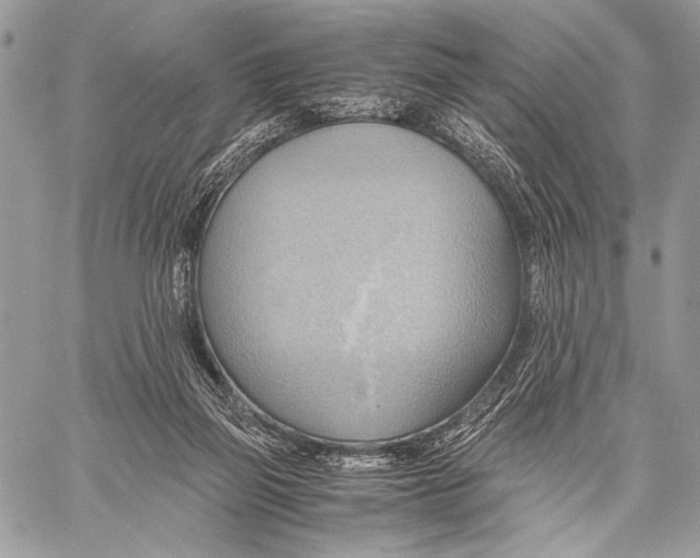 X0000057580165200510171717