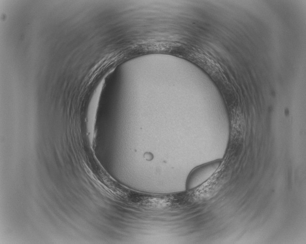 X0000057580166200510171717