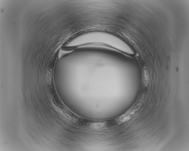 X0000057580168200510171717