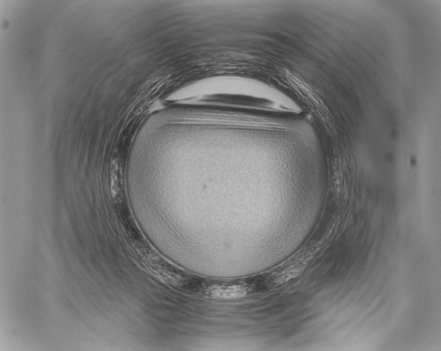 X0000057580169200510171717