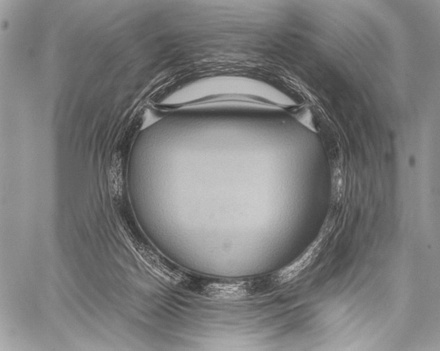 X0000057580170200510171717