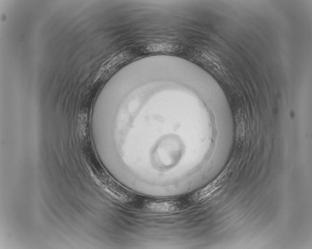 X0000057580171200510171717