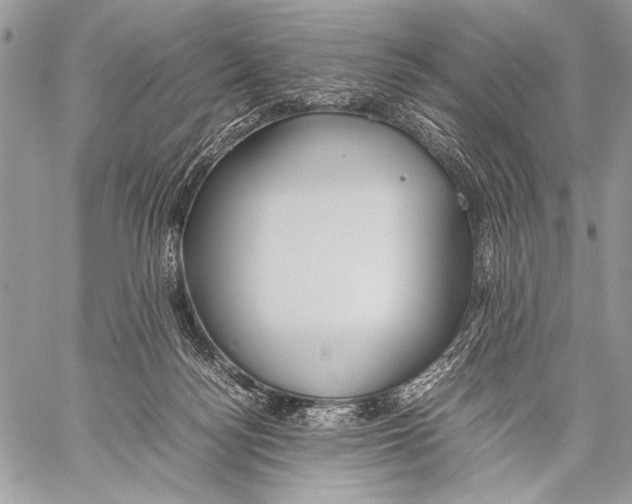 X0000057580172200510171717