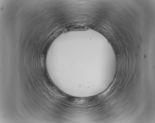 X0000057580174200510171717