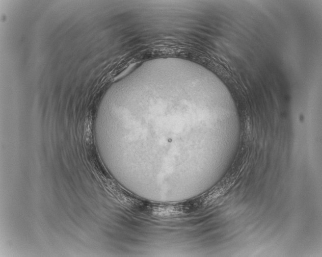 X0000057580177200510171717