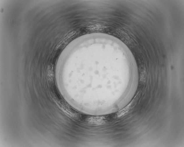 X0000057580179200510171717