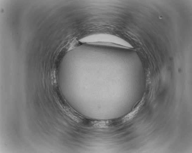 X0000057580182200510171717