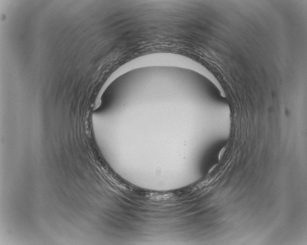 X0000057580185200510171717