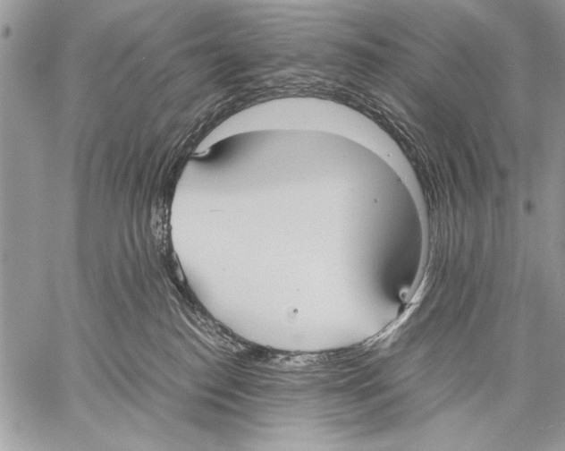 X0000057580186200510171717