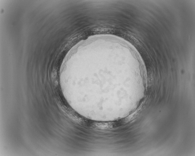 X0000057580187200510171717