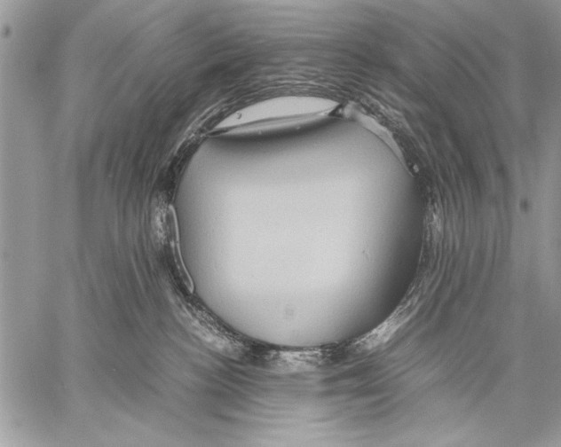 X0000057580188200510171717