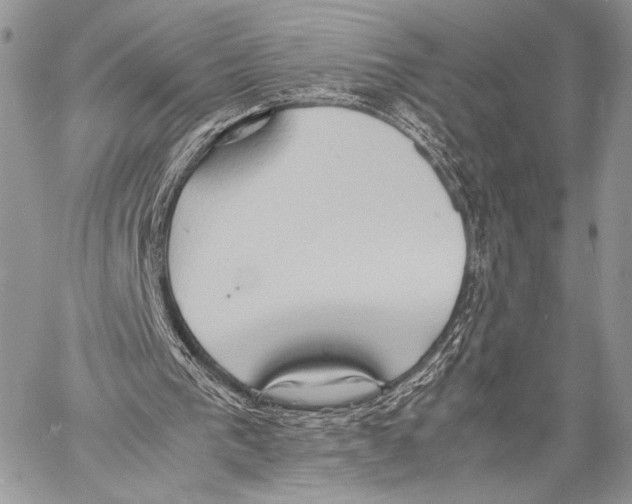 X0000057580193200510171716