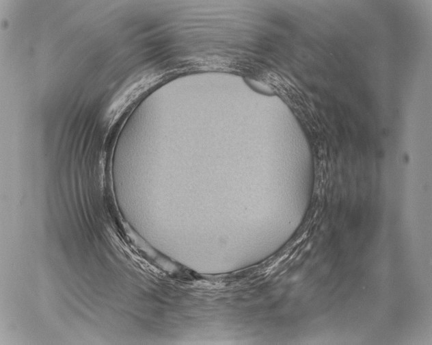 X0000057580194200510171716