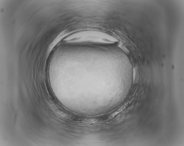 X0000057580195200510171716