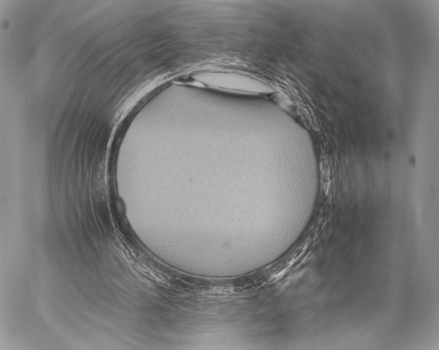 X0000057580196200510171716