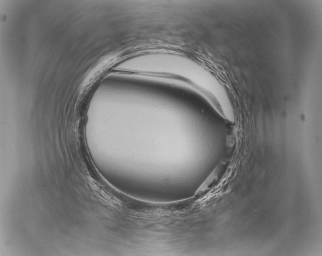 X0000057580197200510171716