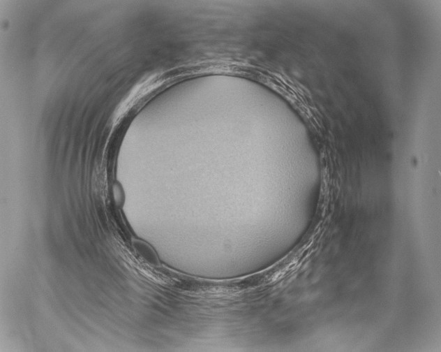 X0000057580198200510171716