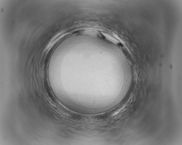 X0000057580199200510171716